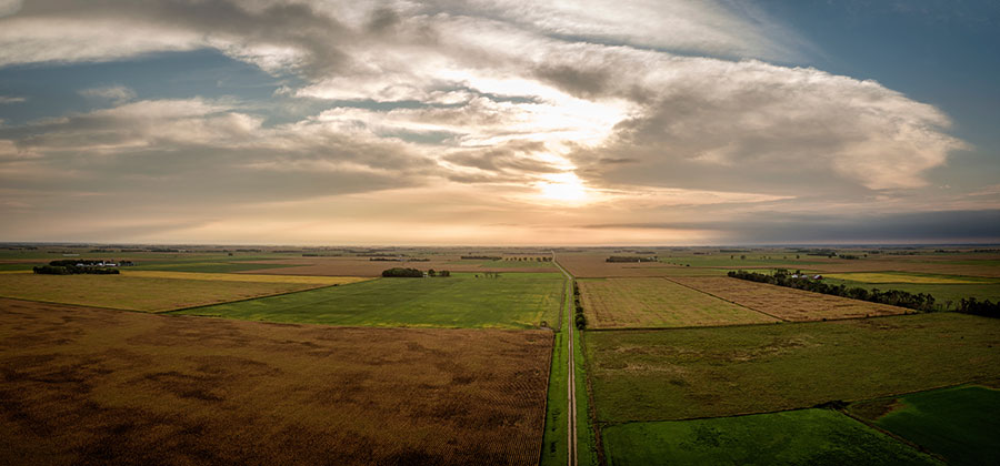 farm-land
